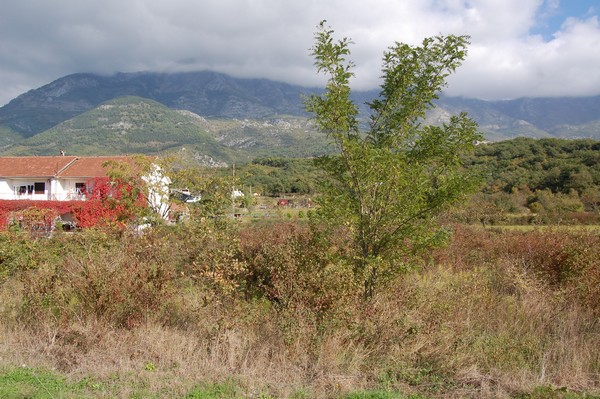 Spacious Plot For Two Houses Radanovici Montenegro
